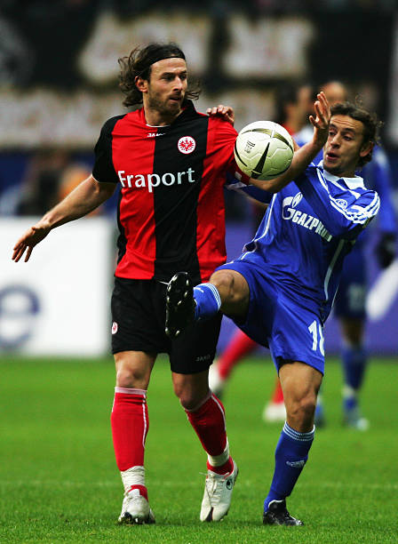 解莫耶斯的 解莫耶斯的