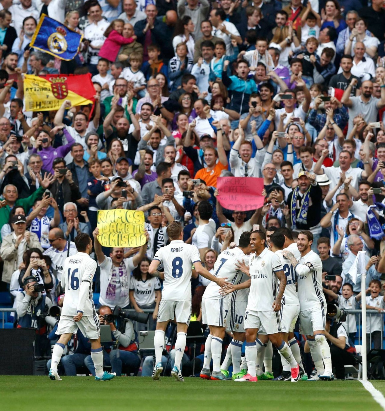 适应性强 适应性强